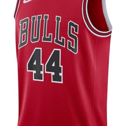Chicago Bulls 2023/2024