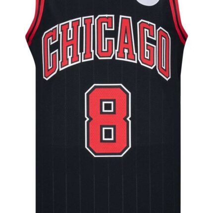 Chicago Bulls 2023/2024