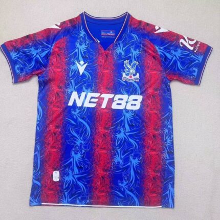 24 25 Crystal Palace home