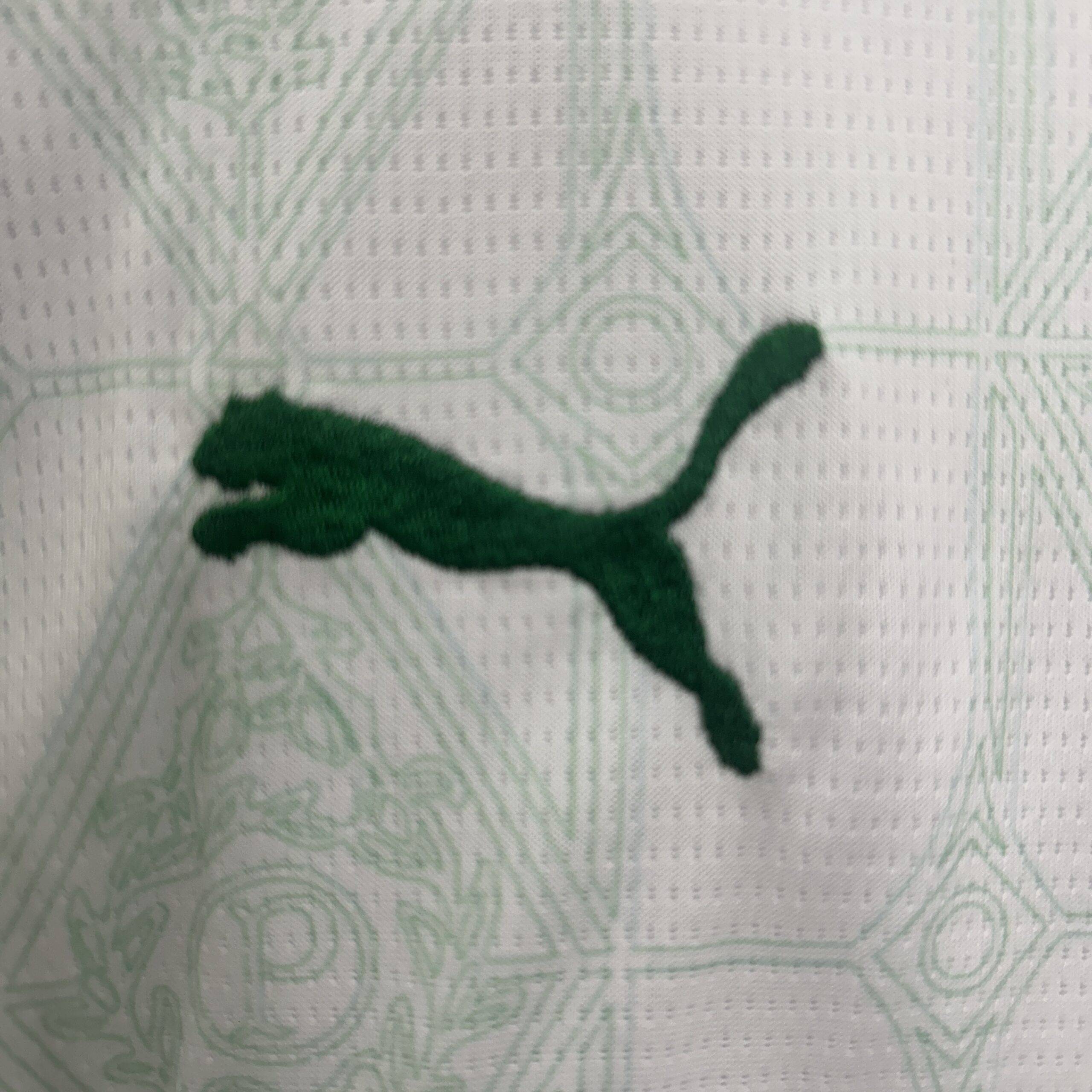 25/26 kids Palmeiras away size: 16-28 - Image 4